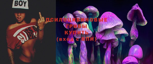 гидропоника Беломорск