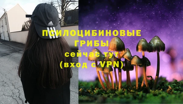 гидропоника Беломорск