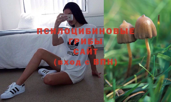 гидропоника Беломорск