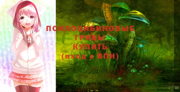 амфетамин Белокуриха