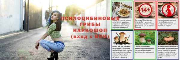 амфетамин Белокуриха