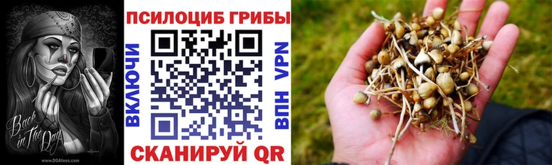 Псилоцибиновые грибы Psilocybine cubensis  Облучье 