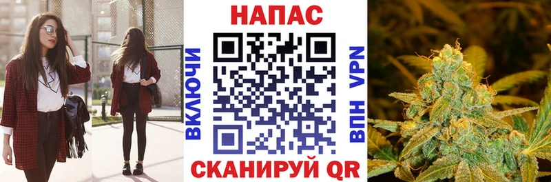 Каннабис сатива  купить наркотики сайты  Облучье 